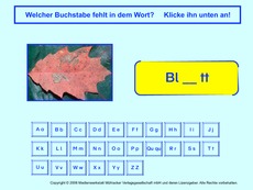 Buchstaben-einsetzen-16.pdf